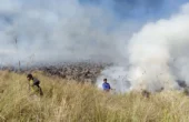 Ilustrasi. Personel gabungan Balai Besar Taman Nasional Bromo Tengger Semeru (BB TNBTS) pada saat melakukan proses pemadaman api di area savana, di wilayah Kabupaten Malang, Jawa Timur, Rabu (30/8/2023). Foto: Balai Besar TNBTS