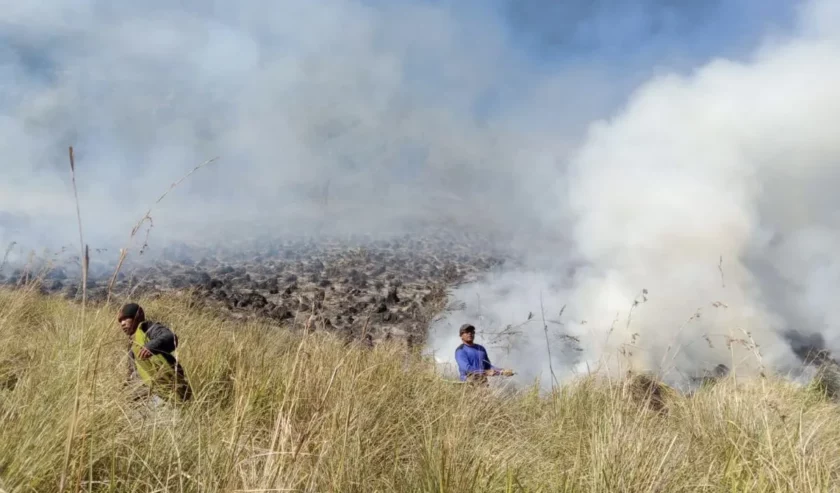 Ilustrasi. Personel gabungan Balai Besar Taman Nasional Bromo Tengger Semeru (BB TNBTS) pada saat melakukan proses pemadaman api di area savana, di wilayah Kabupaten Malang, Jawa Timur, Rabu (30/8/2023). Foto: Balai Besar TNBTS