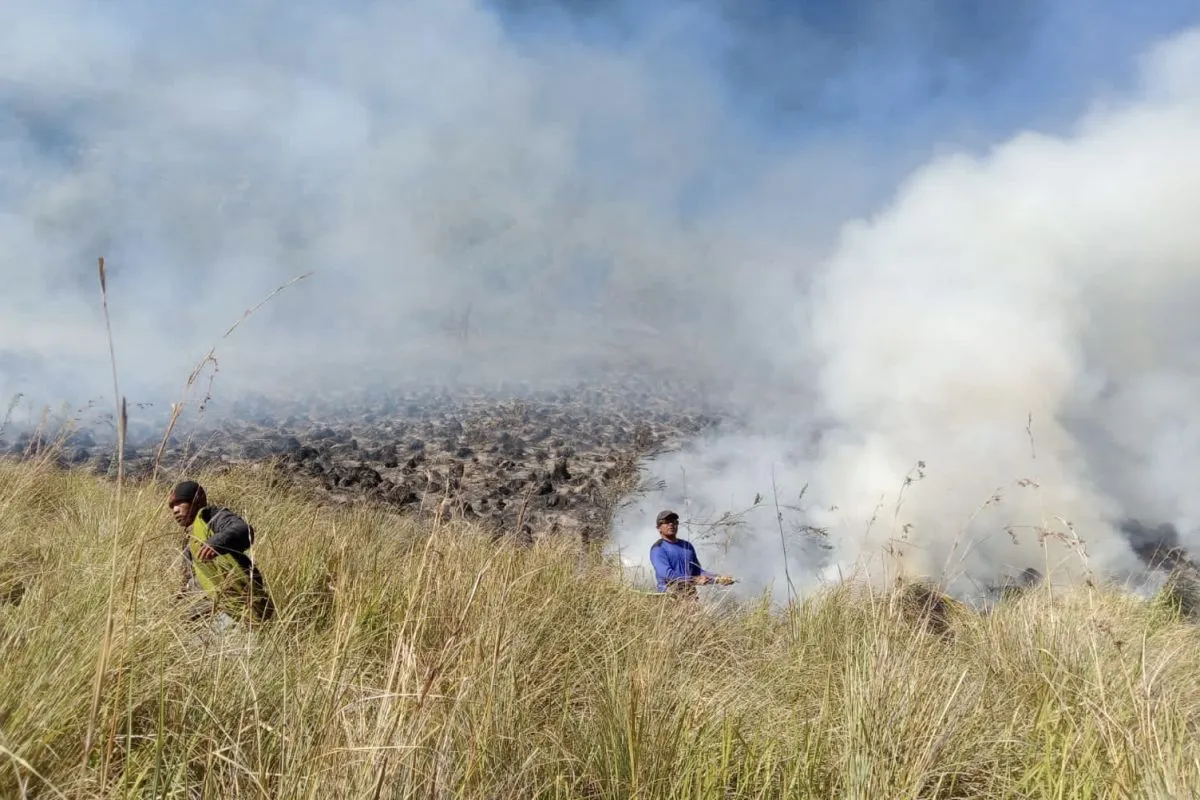 Ilustrasi. Personel gabungan Balai Besar Taman Nasional Bromo Tengger Semeru (BB TNBTS) pada saat melakukan proses pemadaman api di area savana, di wilayah Kabupaten Malang, Jawa Timur, Rabu (30/8/2023). Foto: Balai Besar TNBTS