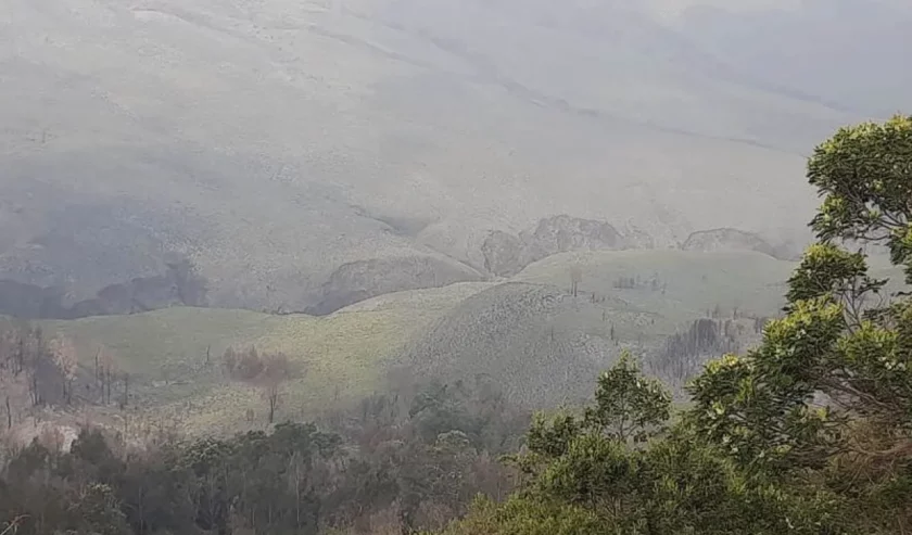 Kawasan savana Bromo mulai ditumbuhi vegetasi pascakebakaran, yang dilihat dari wilayah Jemplang, Kabupaten Malang, Jawa Timur. Foto: Antara/HO-Balai Besar TNBTS.