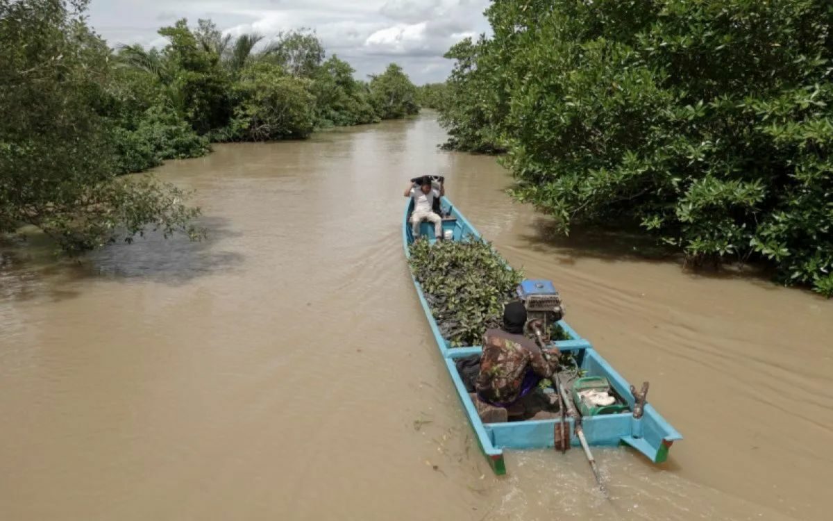 Warga mengangkut bibit mangrove yang akan ditanam di sekitar wilayah laguna Segara Anakan, Kampung Laut, Cilacap, Jateng, Jumat (28/10/2022). Foto: Antara