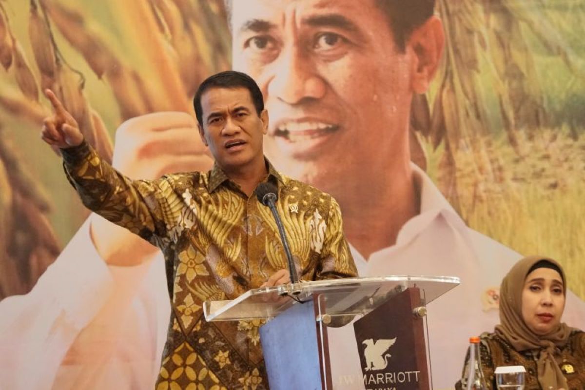 Andi Amran Sulaiman Menteri Pertanian. Foto: Antara