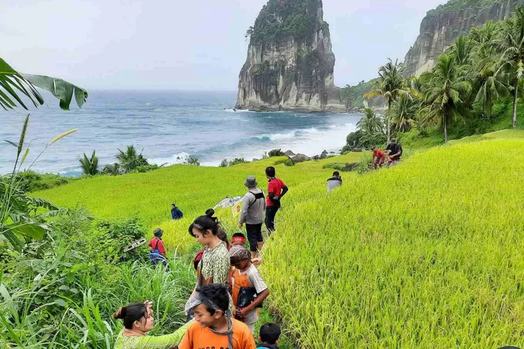 Pantai Pangasan di Desa Kalipelus Pacitan yang menang Lomba Desa Wisata Nusantara 2023. Foto: Jadesta