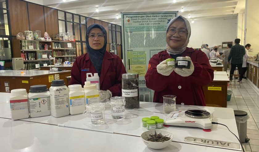 Dosen Fakultas Farmasi Universitas Surabaya (Ubaya) membuat inovasi sediaan gel dari daun sendok untuk terapi luka kaki diabetes, di Laboratorium Fakultas Farmasi Ubaya, Jumat (3/11/2023). Foto: Ubaya