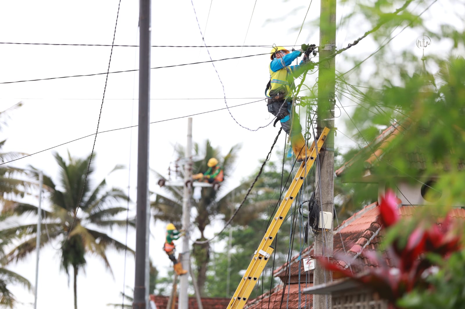 Salah satu petugas PLN melakukan pemeliharaan listrik. Foto: PLN