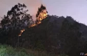 Kobaran api di lereng Gunung Panderman, Kecamatan Batu, Kota Batu, Jawa Timur, Selasa (21/11/2023). Foto: BPBD Kota Batu