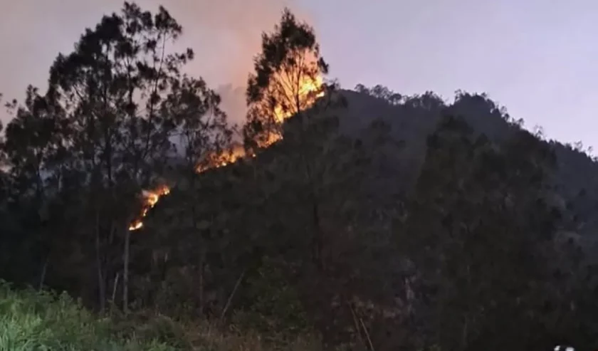 Kobaran api di lereng Gunung Panderman, Kecamatan Batu, Kota Batu, Jawa Timur, Selasa (21/11/2023). Foto: BPBD Kota Batu