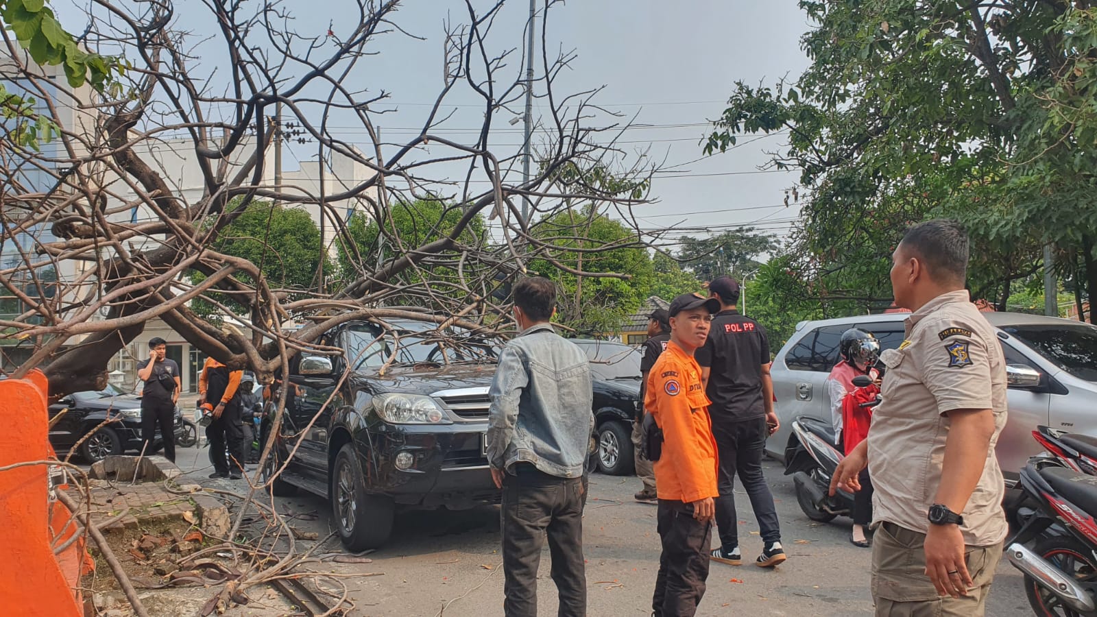 Sebatang pohon flamboyan di depan SPBU Jalan Raya Jemursari arah ke Margorejo, Kota Surabaya, tumbang pada Selasa (12/12/2023). Foto: Command Center Surabaya