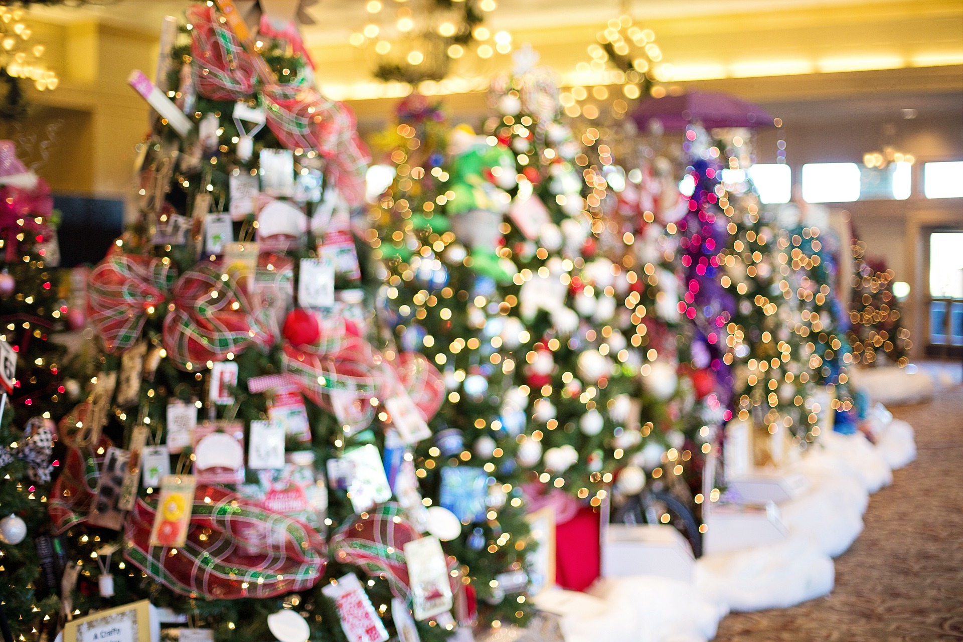 Illustrasi pohon natal yang dihiasi lampu kerlap-kerlip. Foto: Jill Wellington, Pixabay