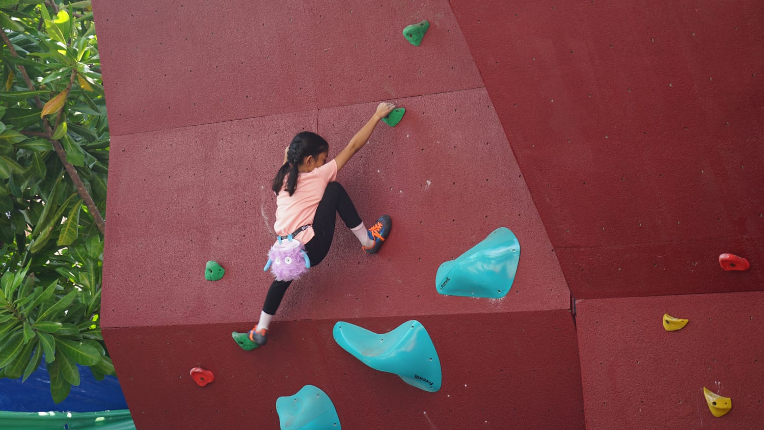 Atlet panjat tebing cilik saat belatih di wall climbing Universitas Muhammadiyah (UM) Surabaya. Foto: UM Surabaya