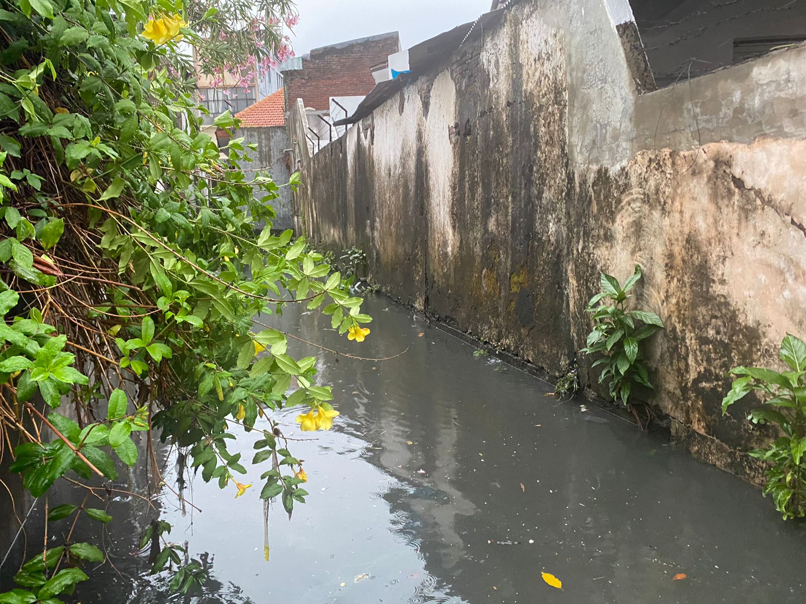 Air saluran yang sempat meluap menyebabkan banjir di Dukuh Kupang Barat I Surabaya, Selasa (9/1/2024). Foto: Meilita suarasurabaya.net