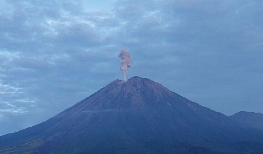 Gunung Semeru kembali erupsi pada Jumat (9/2/2024) pukul 05.39 WIB dengan tinggi letusan teramati sekitar 1.000 meter di atas puncak. Foto: Antara