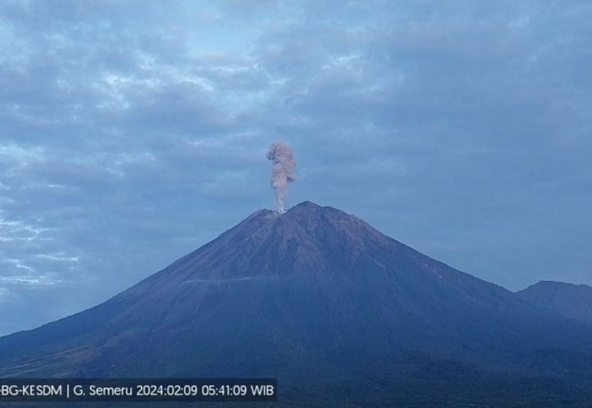Gunung Semeru kembali erupsi pada Jumat (9/2/2024) pukul 05.39 WIB dengan tinggi letusan teramati sekitar 1.000 meter di atas puncak. Foto: Antara