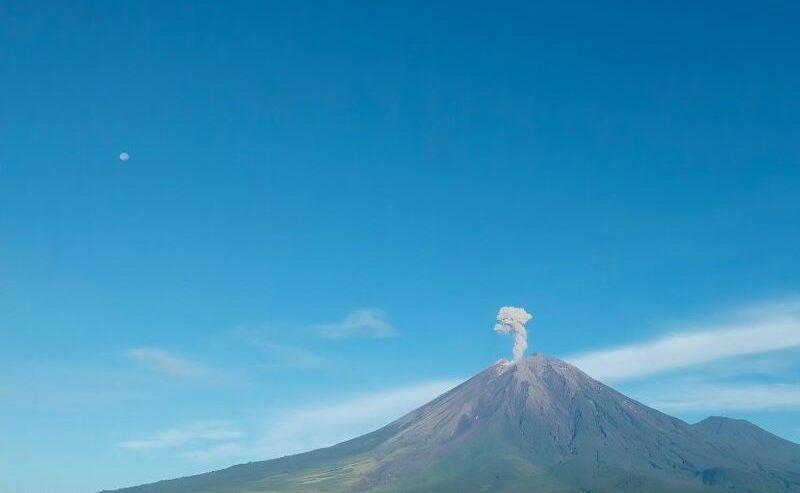 Kolom abu vulkanik dengan intensitas tebal membumbung akibat aktivitas erupsi Gunung Semeru di Jawa Timur, Rabu (28/2/2024). Foto: Humas PVMBG