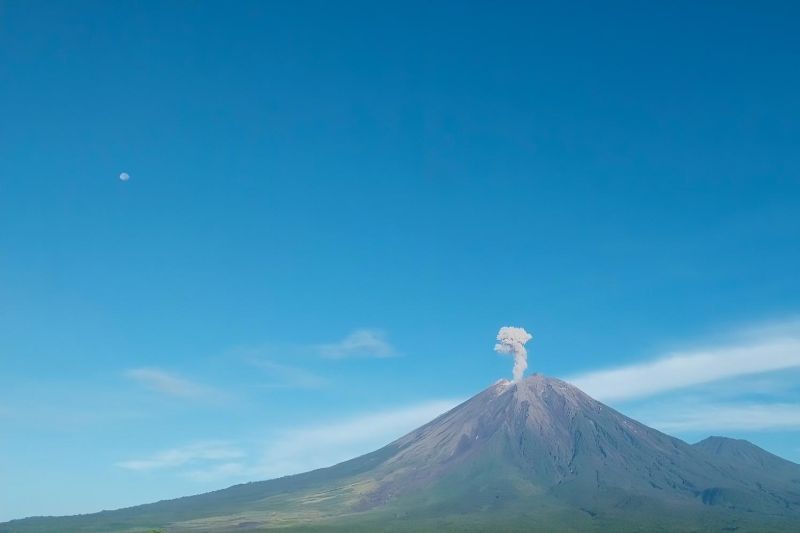 Kolom abu vulkanik dengan intensitas tebal membumbung akibat aktivitas erupsi Gunung Semeru di Jawa Timur, Rabu (28/2/2024). Foto: Humas PVMBG