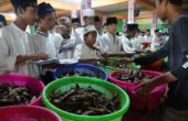 Kementerian Kelautan dan Perikanan (KKP) membagikan lima ton ikan layang untuk santri di Jawa Timur. Foto : Antara