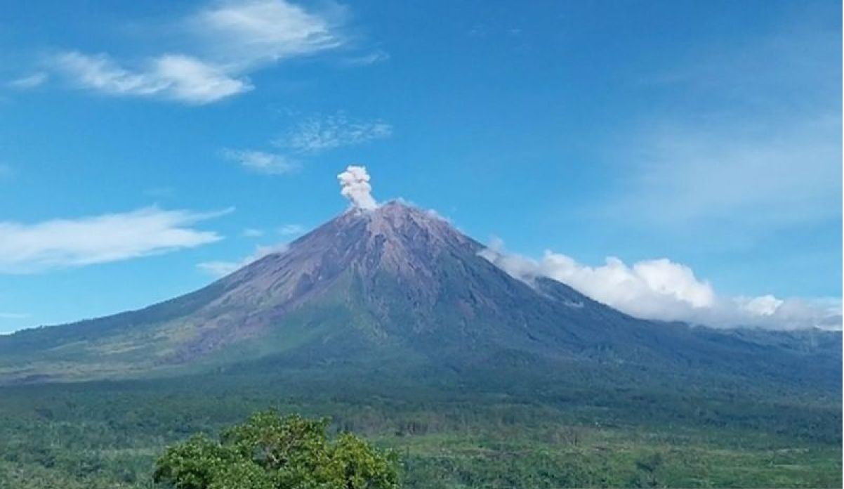 Gunung Semeru di Jawa Timur kembali erupsi pada Selasa (27/2/2024) Foto : Antara