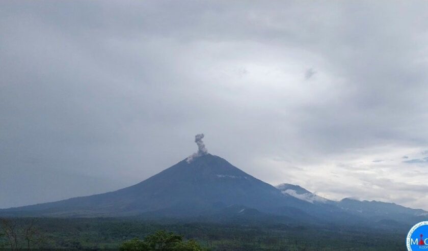 Gunung Semeru Kembali Erupsi, Tinggi Letusan Capai 1,3 km di Atas Puncak