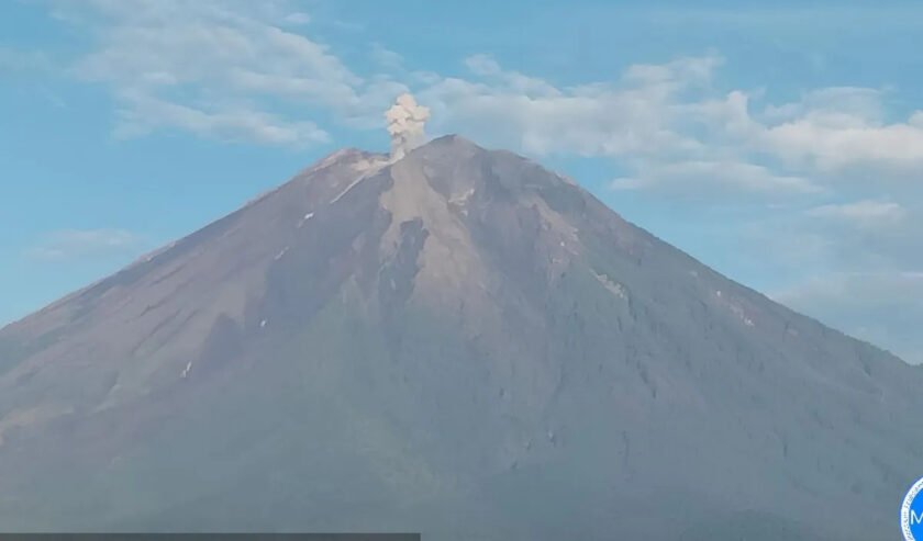 Kolom abu vulkanik keluar akibat aktivitas erupsi yang terjadi pada Gunung Semeru yang berlokasi di Kabupaten Malang dan Kabupaten Lumajang, Provinsi Jawa Timur, Jumat (2/2/2024). Foto: Antara