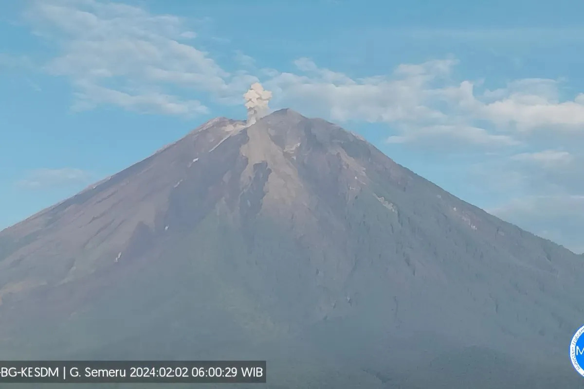 Kolom abu vulkanik keluar akibat aktivitas erupsi yang terjadi pada Gunung Semeru yang berlokasi di Kabupaten Malang dan Kabupaten Lumajang, Provinsi Jawa Timur, Jumat (2/2/2024). Foto: Antara