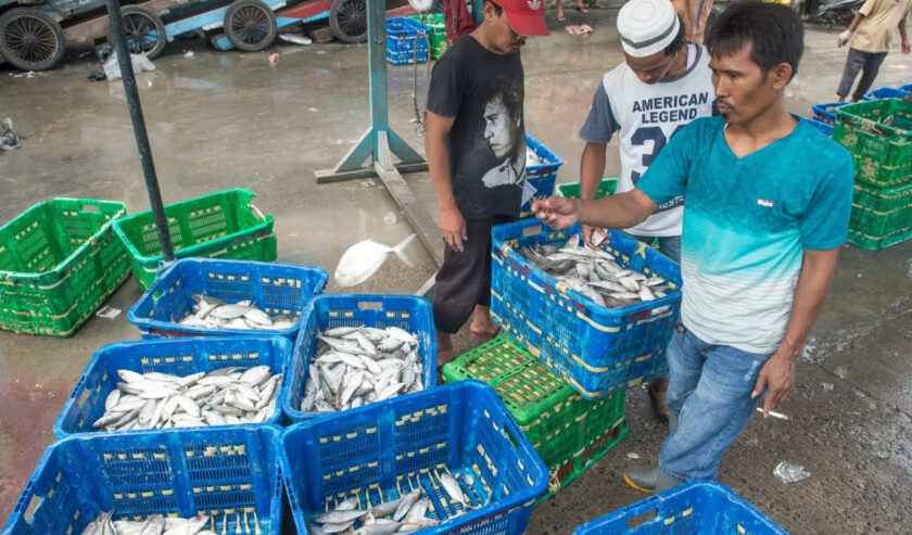 Kedua negara belum lama ini menyepakati kerja sama baru di bidang budi daya udang melalui penandatanganan nota kesepahaman (MoU) antara Balai Layanan Karawang yang berada di bawah Kementerian Kelautan dan Perikanan (KKP) dengan perusahaan asal China, Guangdong Evergreen Group. Foto: Antara