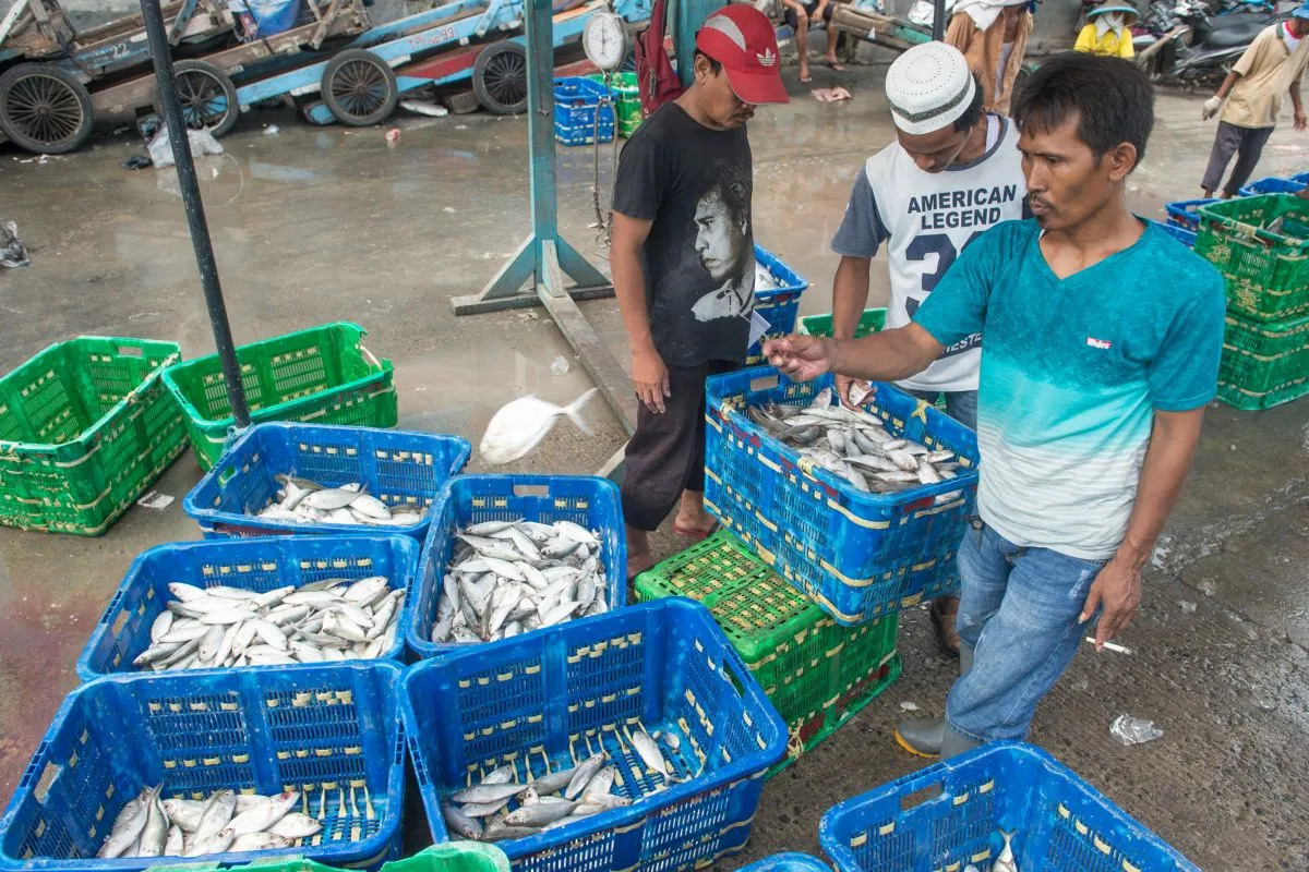 Kedua negara belum lama ini menyepakati kerja sama baru di bidang budi daya udang melalui penandatanganan nota kesepahaman (MoU) antara Balai Layanan Karawang yang berada di bawah Kementerian Kelautan dan Perikanan (KKP) dengan perusahaan asal China, Guangdong Evergreen Group. Foto: Antara