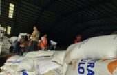 Pekerja tengah mengangkut beras yang ada di gudang Bulog Lampung. Bandarlampung, Kamis (7/3/2024). Foto : Antara
