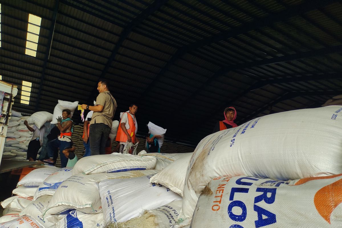 Pekerja tengah mengangkut beras yang ada di gudang Bulog Lampung. Bandarlampung, Kamis (7/3/2024). Foto : Antara