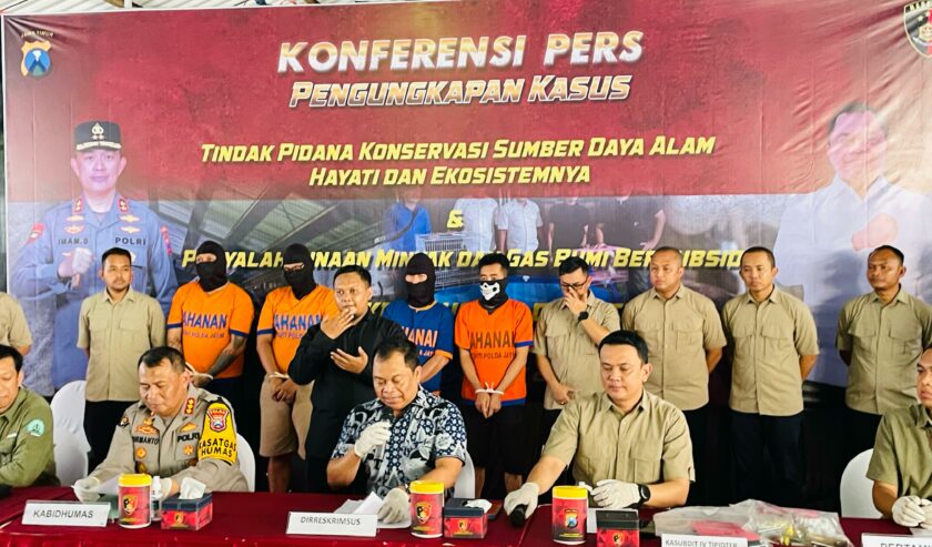 Kombes Pol Luthfie Sulistiawan Dirreskrimsus Polda Jatim saat menjelaskan kasus penyelundupan satwa dilindungi di Polda Jatim, Kamis (7/3/2024). Foto: Firman Magang suarasurabaya.net