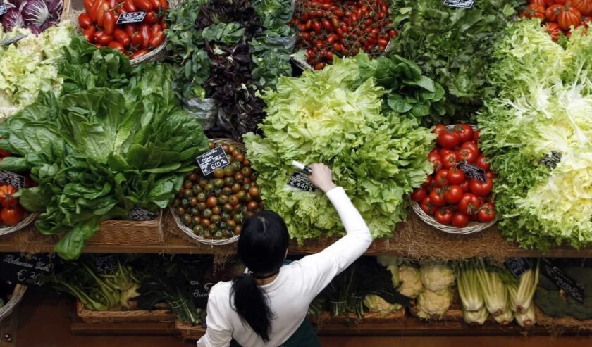 Makanan berserat antara lain bisa didapat dari kacang-kacangan, brokoli, dan bayam. Foto: Reuters