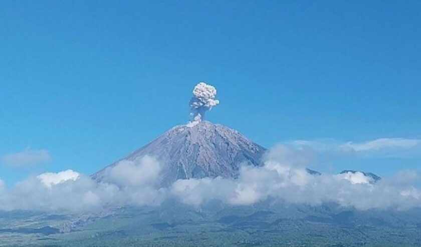 Gunung Semeru erupsi pada Sabtu (23/3/2024) pukul 08.07 WIB. Foto: Humas PVMBG