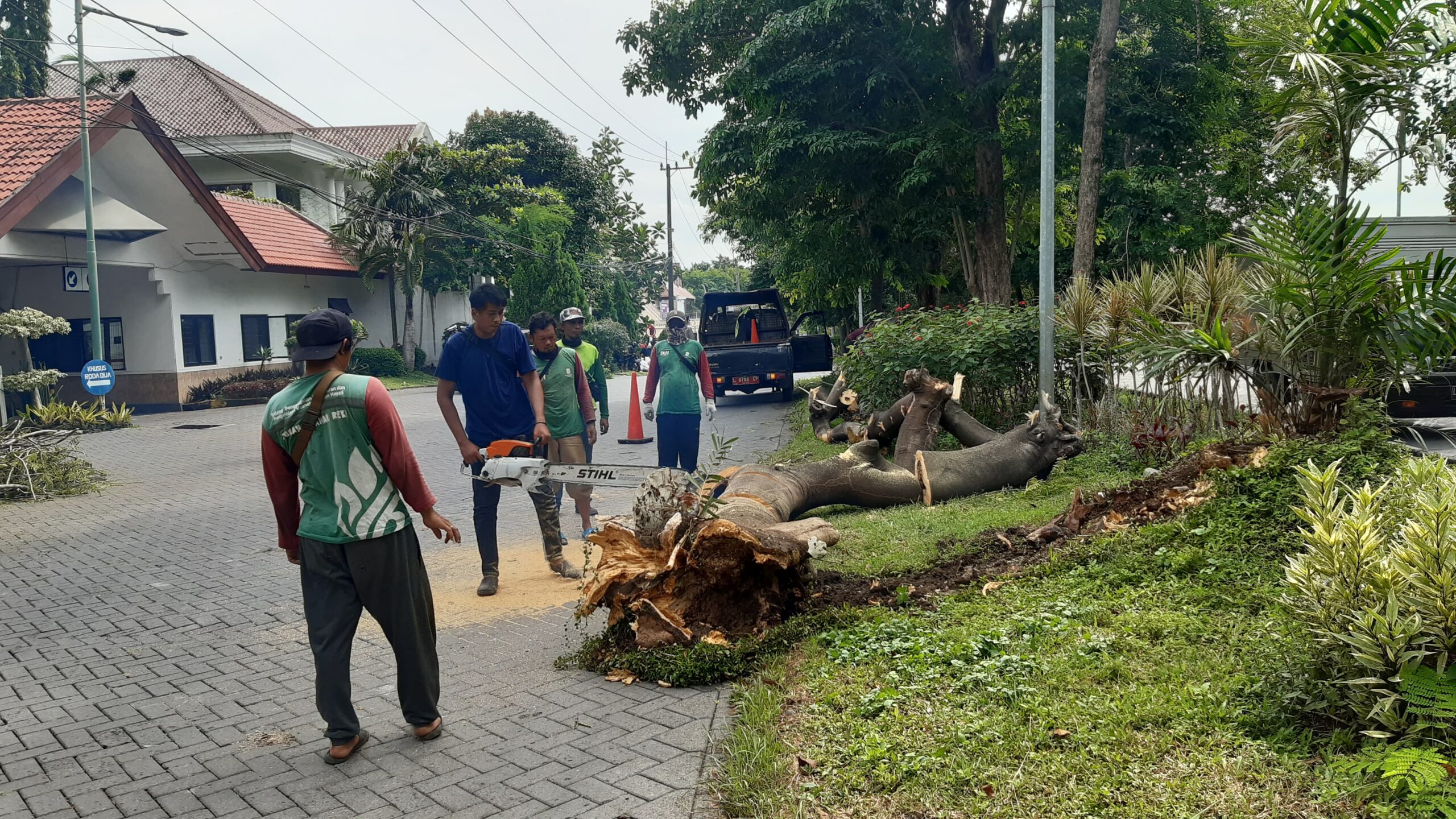 Proses evakuasi pohon tumbang di Jalan Darmo Harapan Surabaya, Sabtu (9/3/2024). Foto: Ikke magang suarasurabaya.net