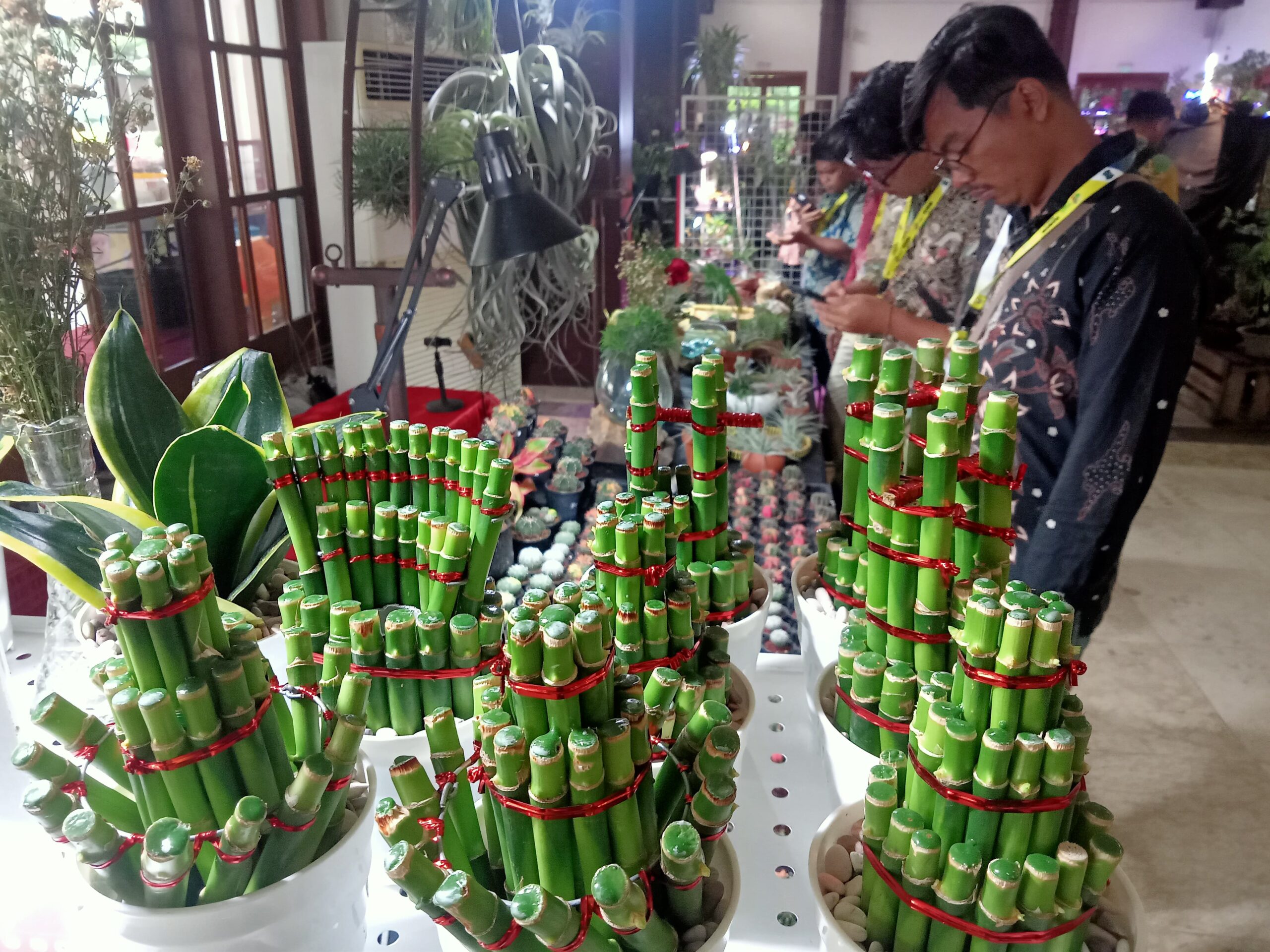 Pengunjung memotret tanaman hias pada Festival Kembang Setaman di Balai Pemuda Surabaya, Kamis (14/3/2024). Foto : Dani magang suarasurabaya.net