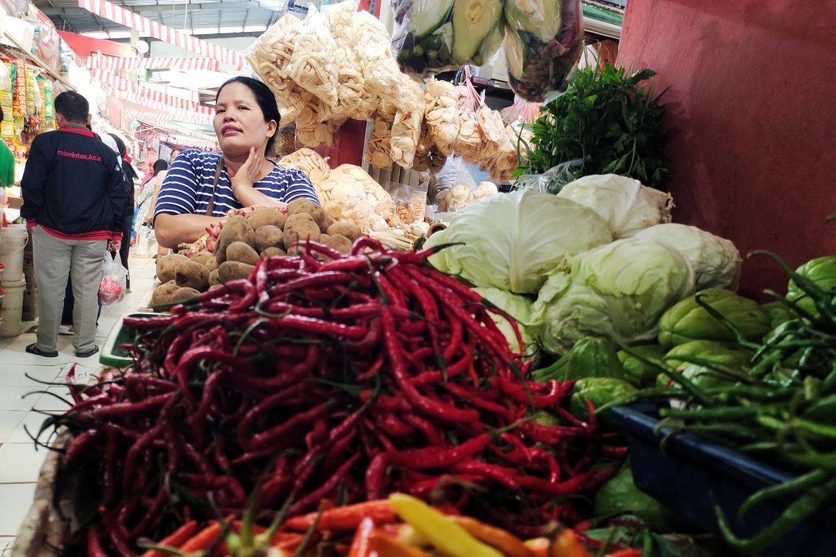 Pedagang bahan pokok pasar tradisional di Pasar Rakyat Way Halim tengah menunjukkan cabai dagangannya. Bandarlampung, Kamis (7/3/2024). Foto : Antara