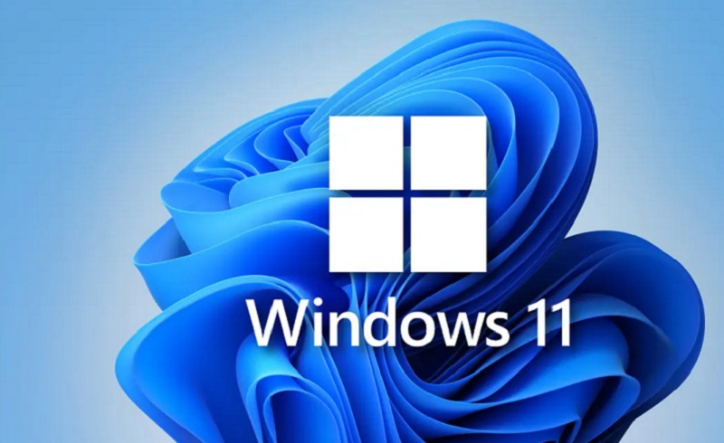 Windows 11