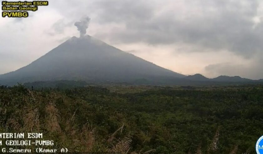 Erupsi Gunung Semeru terpantau CCTV pada Selasa (9/4/2024) pukul 06.17 WIB. Foto: Antara