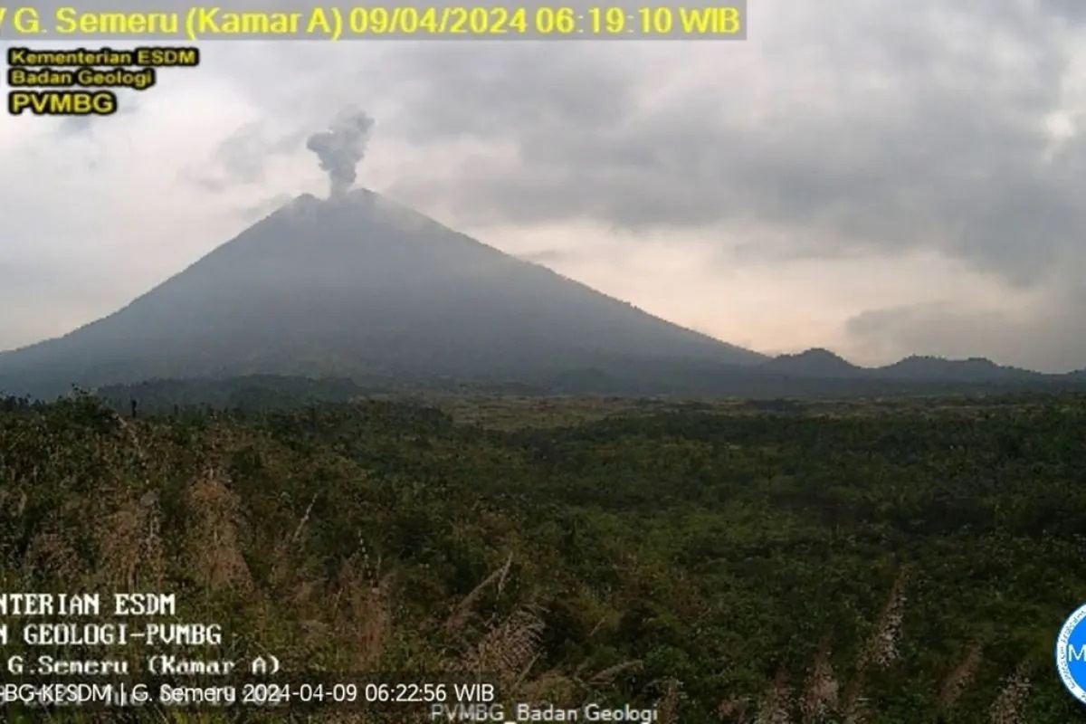 Erupsi Gunung Semeru terpantau CCTV pada Selasa (9/4/2024) pukul 06.17 WIB. Foto: Antara