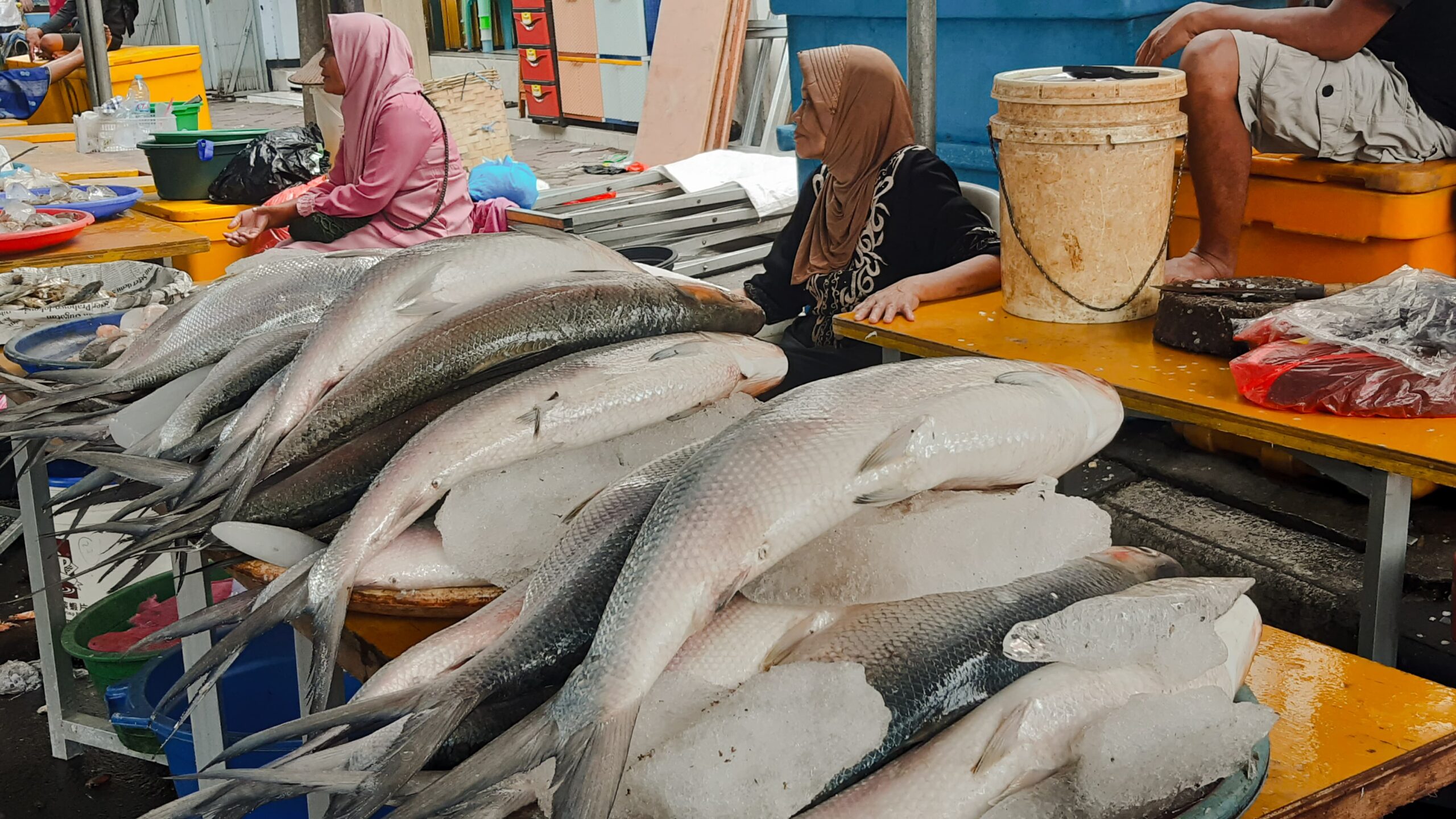 Ikan bandeng yang dijual pada gelaran Pasar Bandeng Kawak 2024 di Jalan Samanhudi, Gresik, Senin (8/3/2024). Foto: Ikke magang suarasurabaya.net