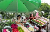 Sederet penjual bunga makam di Makam Ngagel Rejo Surabaya, Selasa (9/4/2024). Foto: Meilita suarasurabaya.net