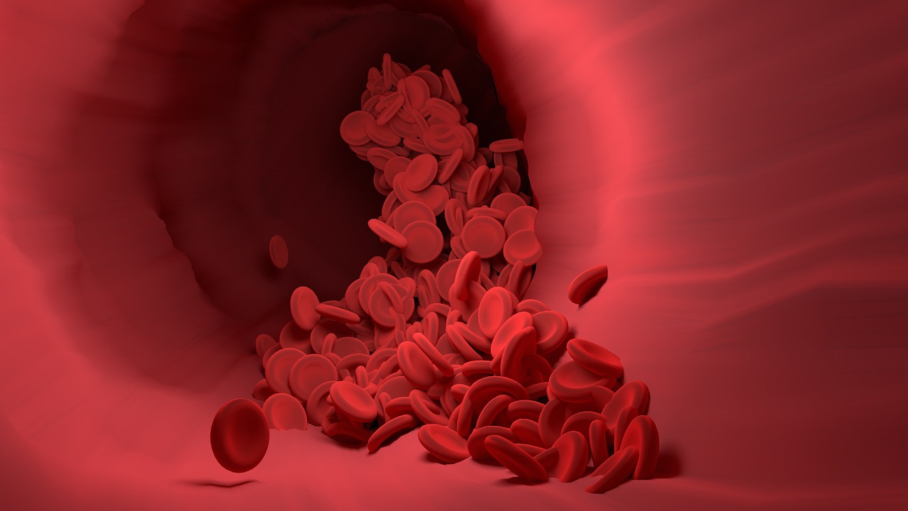 Ilustrasi pembuluh darah. Foto: Pixabay