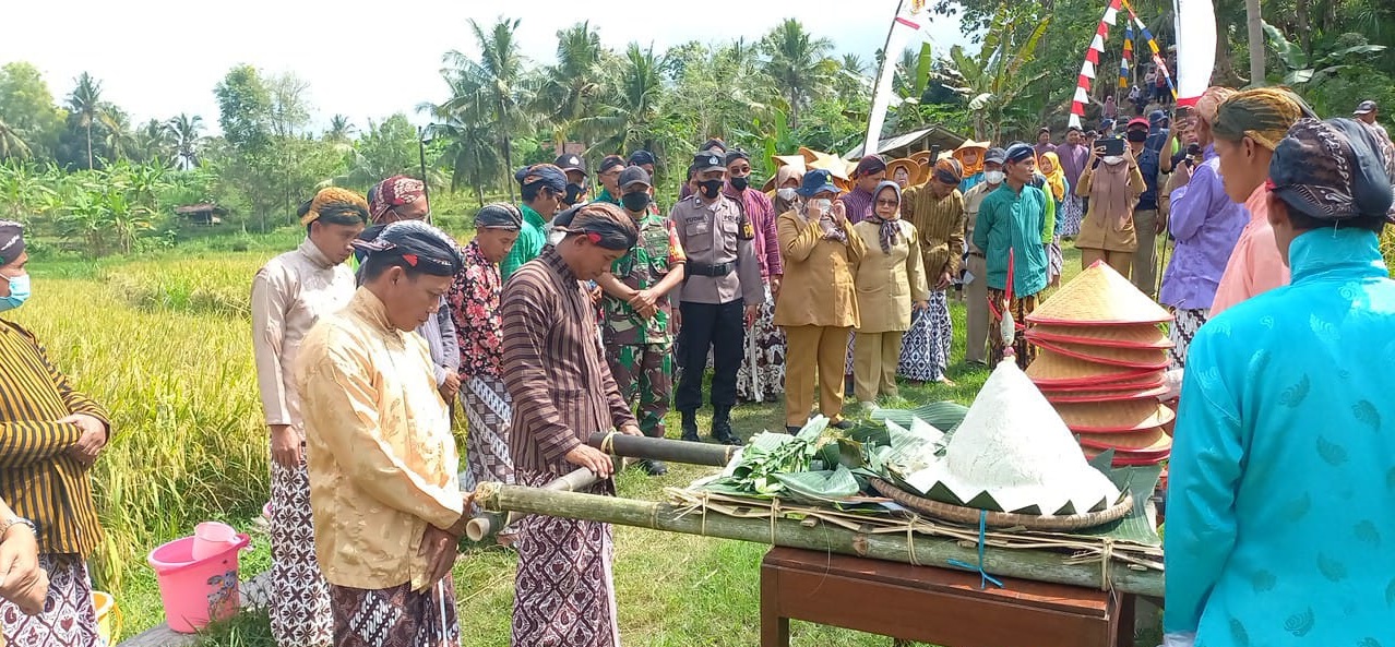 Tradisi wiwitan. Foto: Dinas Pertanian dan Pangan Kabupaten Kulon Progo, Yogyakarta