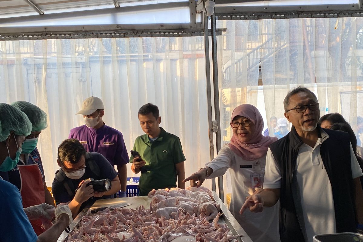 Zulkifli Hasan Menteri Perdagangan (paling kanan) saat meninjau rumah potong unggas di Kawasan Industri Pulogadung Rumah Potong Unggah (RPU) Rawa Kepiting, Jakarta, Sabtu (4/5/2024). Foto: Antara