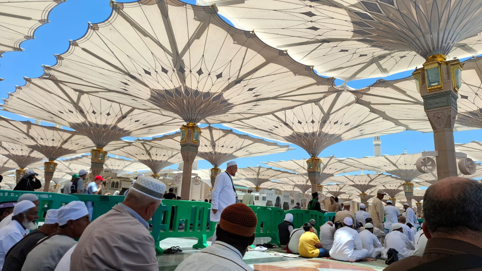 Ilustrasi jemaah sedang beribadah di Masjid Nabawi. Foto: Kemenag