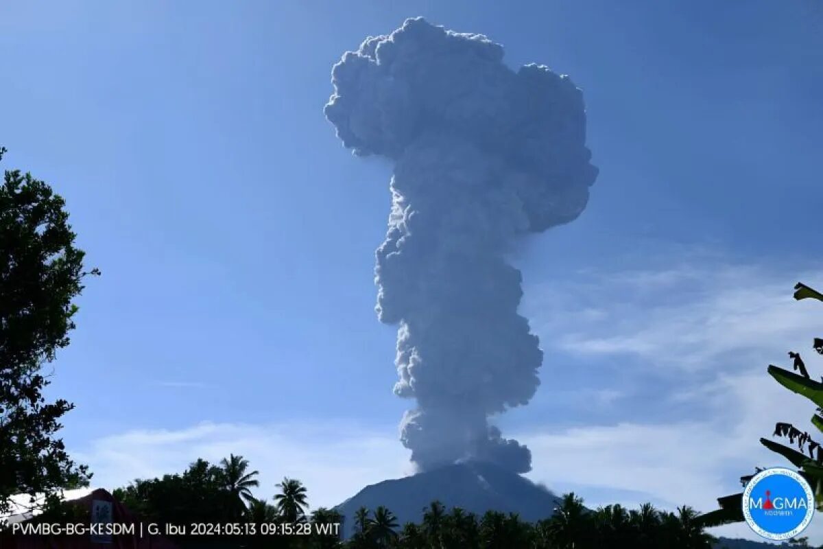 Kolom abu vulkanik membumbung keluar setinggi lebih kurang 5.000 meter dari puncak Gunung Ibu di Maluku Utara, Senin (13/5/2024). Foto: Antara