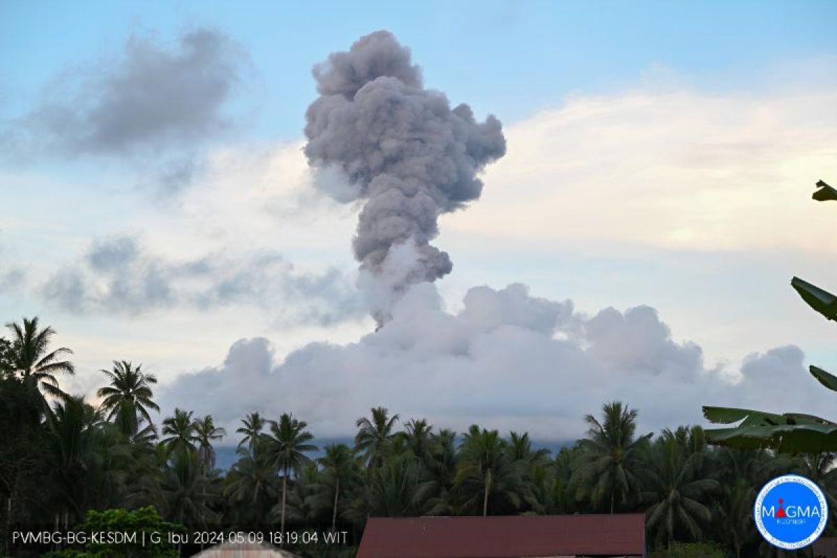Kolom abu vulkanik membumbung keluar dari kawah Gunung Ibu yang berada di Pulau Halmahera, Maluku Utara, Kamis (9/5/2024)