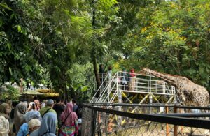 Libur Lebaran ke Kebun Binatang Surabaya