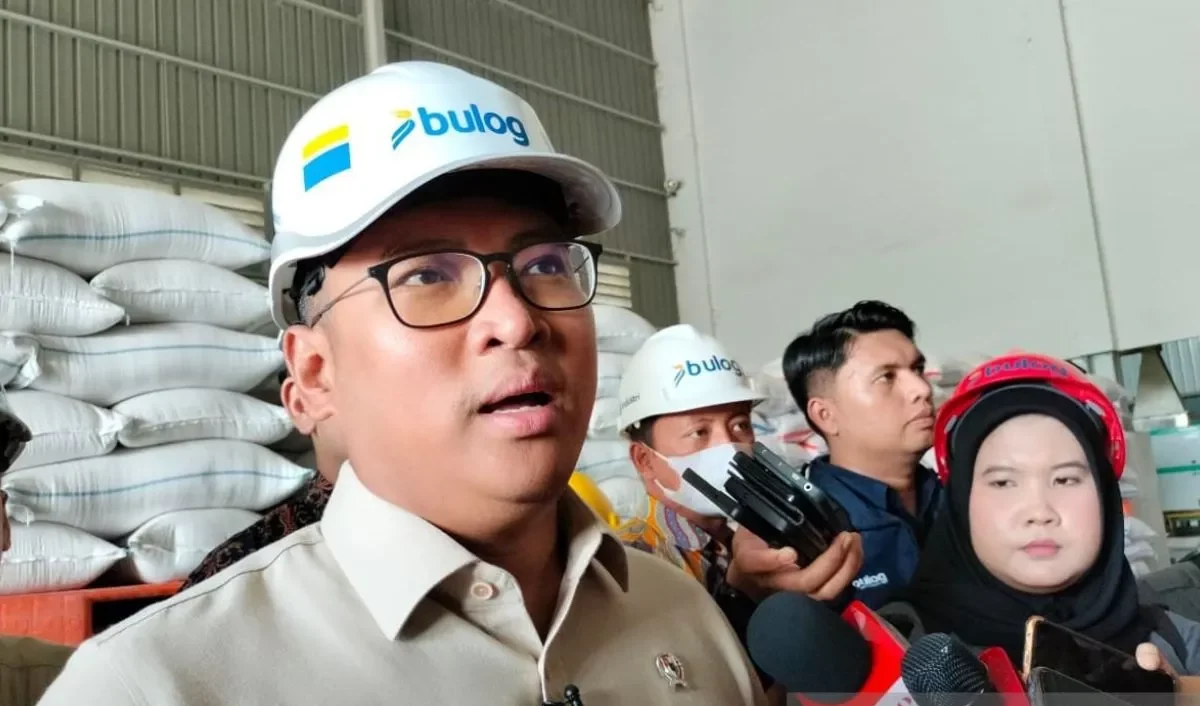 Wamentan Tegaskan Bulog Dititikberatkan untuk Beli Gabah Petani, Bukan Beras
