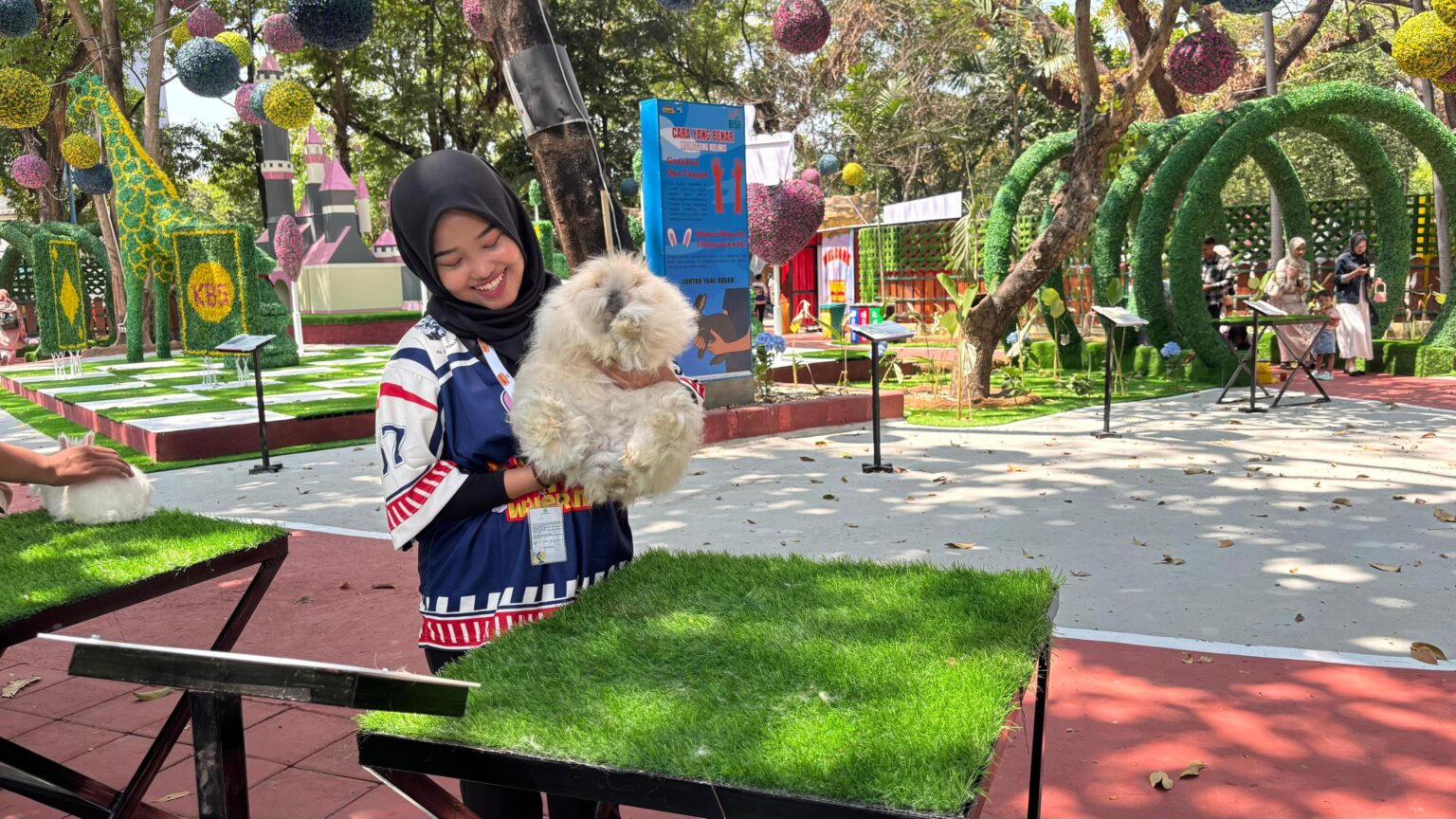Rabbits in Wonderland, Wahana Baru KBS yang Edukatif dan Menggemaskan ...