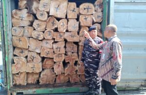 TNI AL Gagalkan Pengiriman Kayu Ilegal di Surabaya
