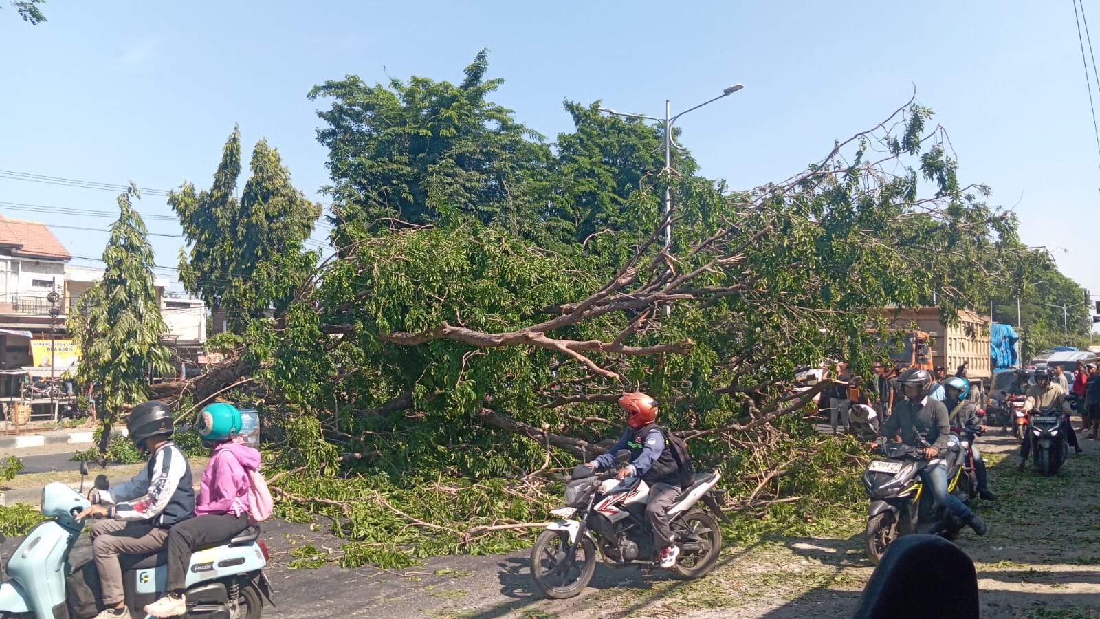 Jawa Timur Waspada Angin Kencang sampai Senin 14 September